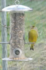 DSCN3624.webp