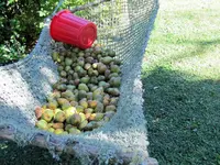 IMG_2765 v.webp