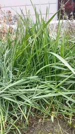 20160312_145740.webp