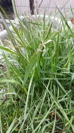 20160312_145734.webp