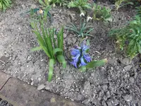 DSCF2917.webp