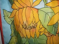 Bilda020.webp