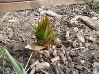SAM_0801.webp