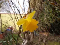 SAM_0804.webp