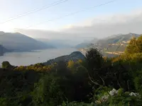DSCN1530.webp