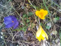IMG_20160313_150219.jpg