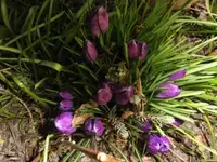 Bilda017.webp