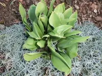 Bilda021.webp