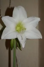 _DSC0124.webp