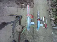 DSCN5956.webp