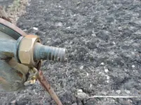 DSCN5961.webp