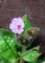 DSC_6660.webp