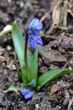 DSC_1957.webp
