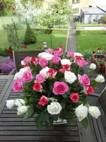 DSCN0150.webp