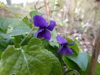 P1040841.webp