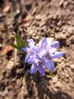 P1040859.webp