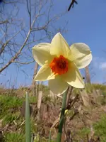 P1040853.webp