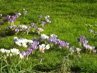 DSCN0154.webp