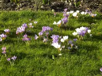 DSCN0159.webp