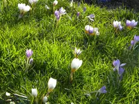 DSCN0162.webp