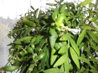 Bilda006.webp