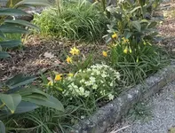 DSCI0247.webp