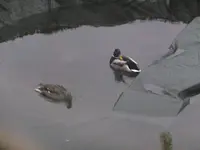 DSCF9312.webp