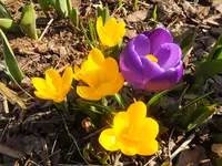 DSCF9102.webp