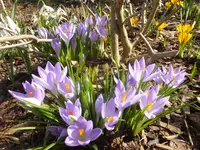 DSCF9108.webp