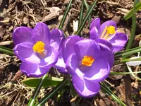 DSCF9111.webp