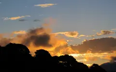 IMG_3284v.webp