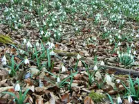 DSCF2549 (2).webp