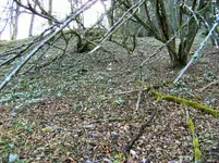 DSCF2552 (2).webp