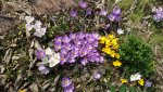 20160314_125615.jpg
