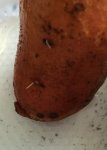 süsskartoffeln 2.jpg
