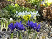 DSCN6745.webp