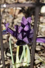 _DSC0067.webp