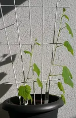 20160314_153436.webp