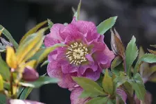DSC04874.webp