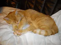 IMGP3345.webp
