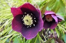 DSCF5422 (2).webp