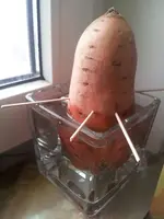 20160315_151155.jpg
