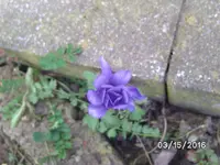 BILD5185.webp