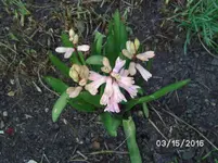 BILD5187.webp