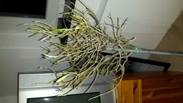 20160316_185936.webp