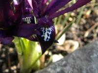 DSCN0175.webp