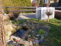 Teich2.webp