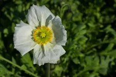 7716.webp