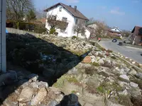 P1040469.webp