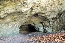 DSCF5439 (2).webp